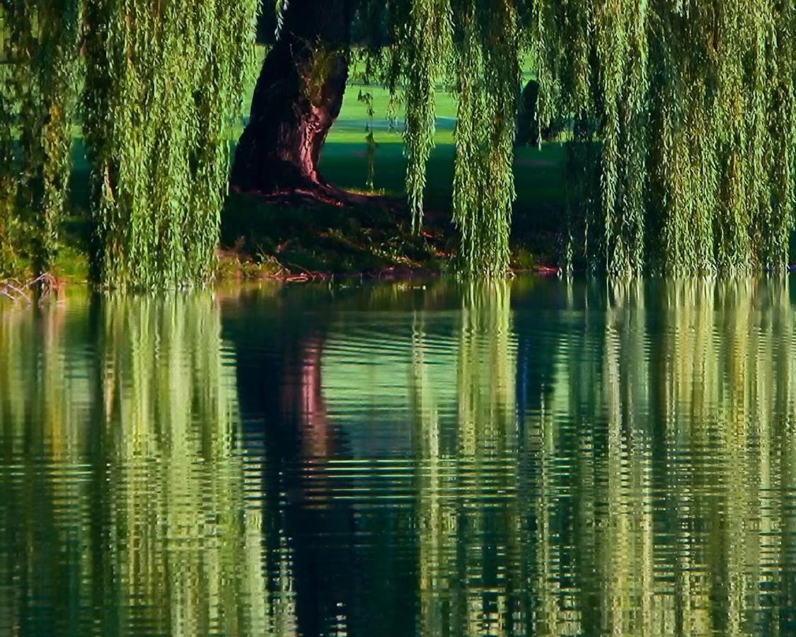 St Andrews By The Lake Golf Resort Kaleden Экстерьер фото